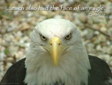 eagle-ezek