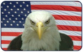 eagle-us-flag