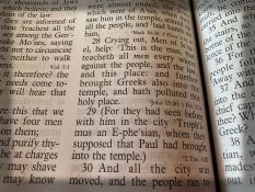 Acts 21:28 Bible