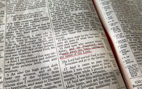 Acts 22 Bible